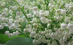 image002.jpg